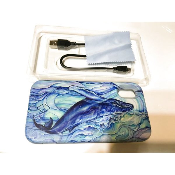 画像1: Colleen Wilcox iPhoneケース　blue fish (1)